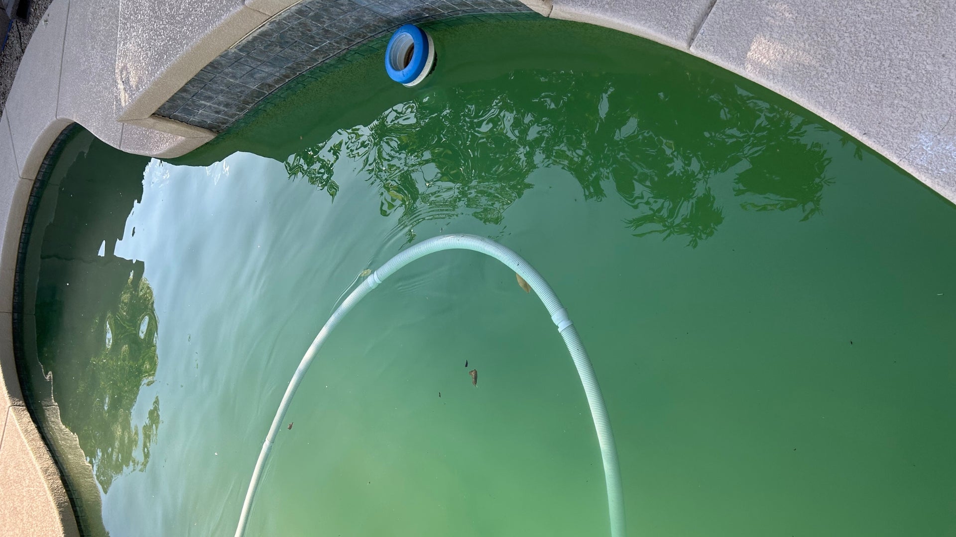 How PhosLocker Helped Clear a Green Algae Filled Pool Overnight