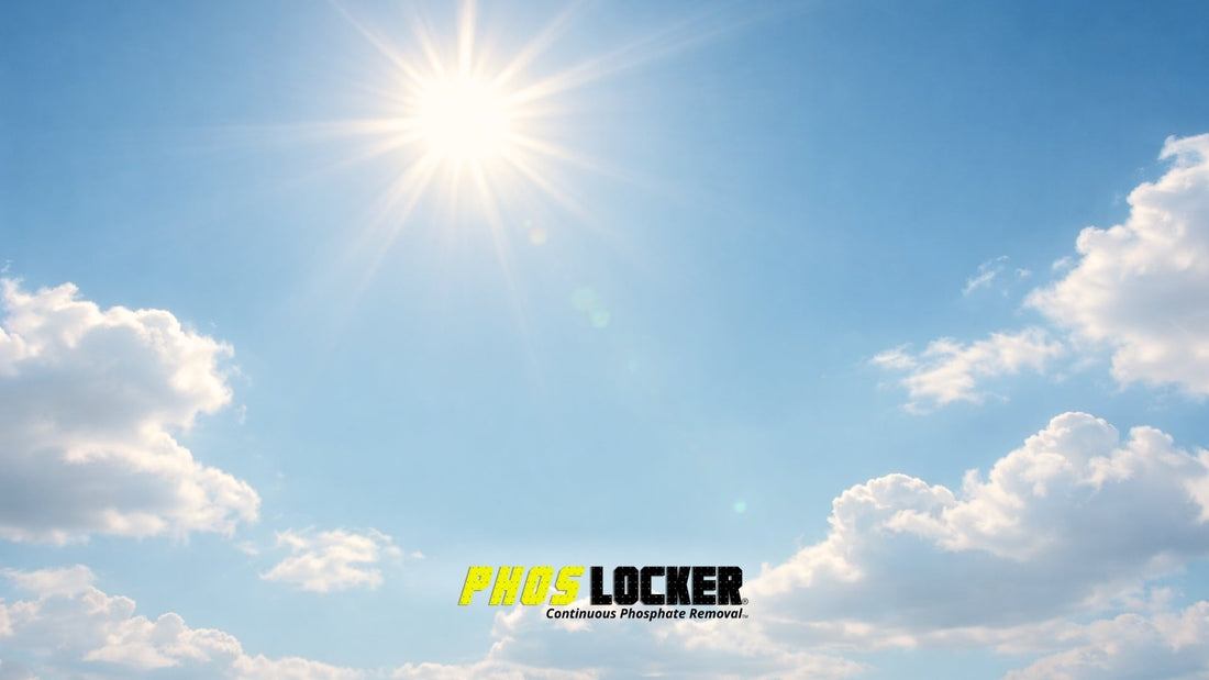 The Austin Pool Owner's Guide to Beating Phosphates in Texas Heat