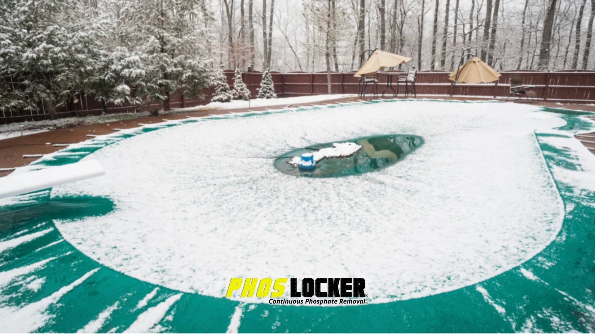 The Hidden Winter Pool Problem No One Talks About (Phosphates)