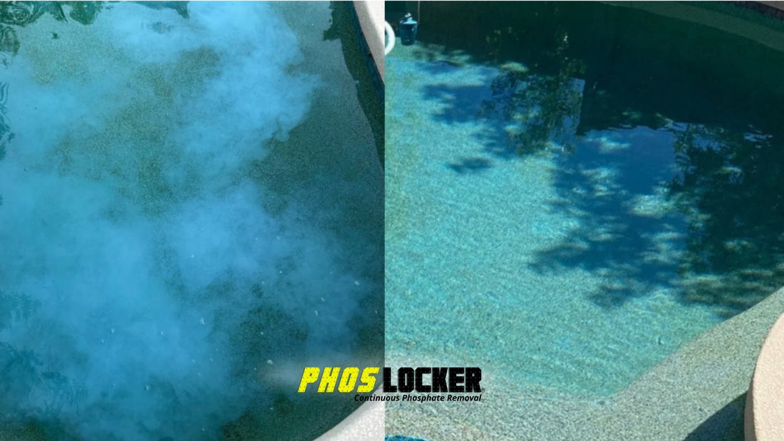 Clear Pool or Cloudy Mess? See What the Right Phosphate Remover Does