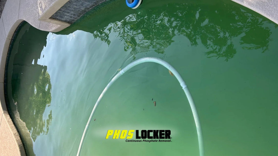 How PhosLocker Helped Clear a Green Algae Filled Pool Overnight