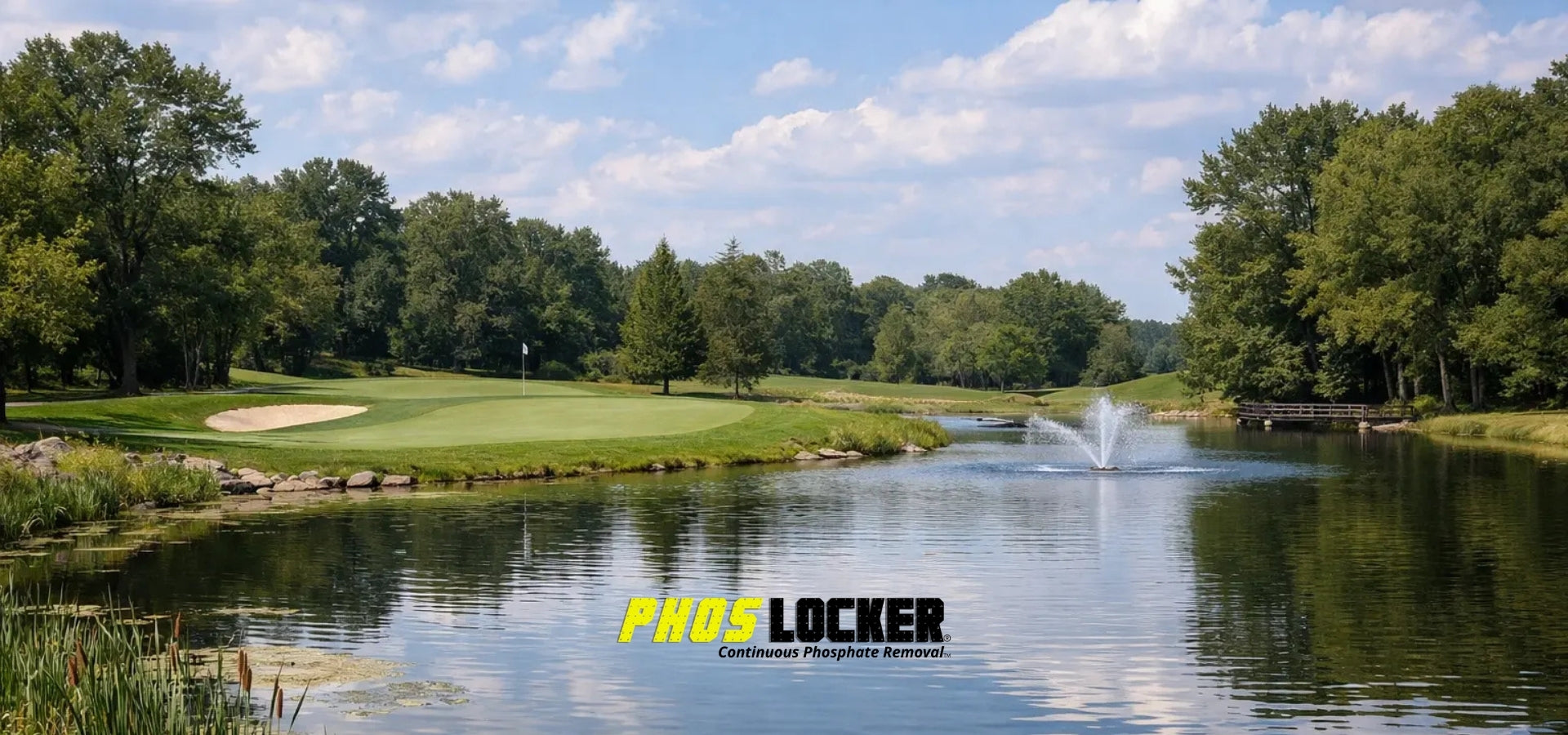 Golf Course Pond Management for Persistent Nutrient Runoff Problems