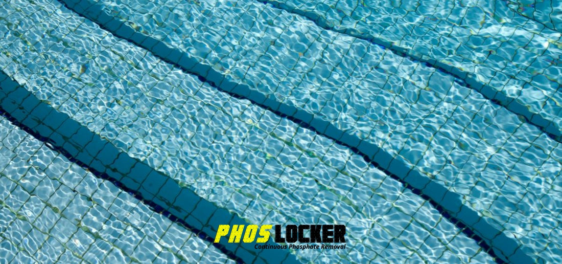 How Pool Pros Are Using Pool Phosphate Removers to Cut Chemical Costs