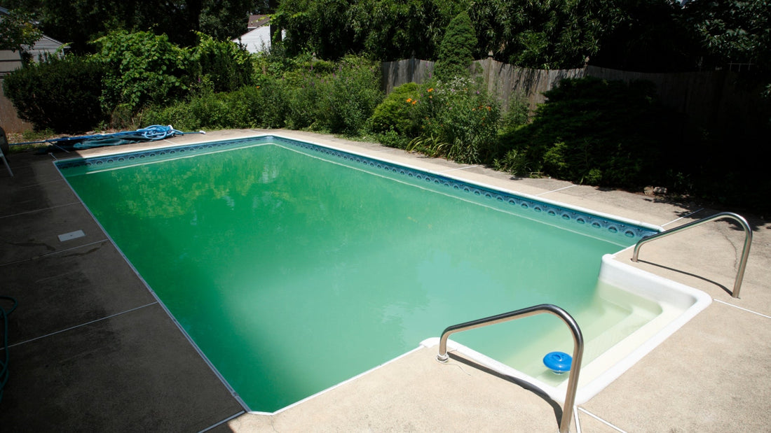 How PhosLocker Helped Clear a Green Algae Filled Pool Overnight