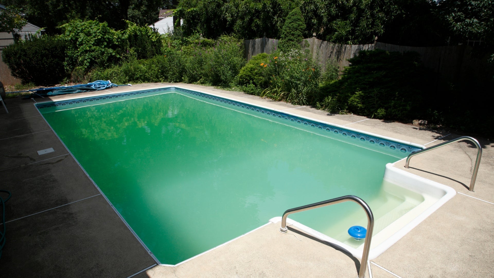 How PhosLocker Helped Clear a Green Algae Filled Pool Overnight