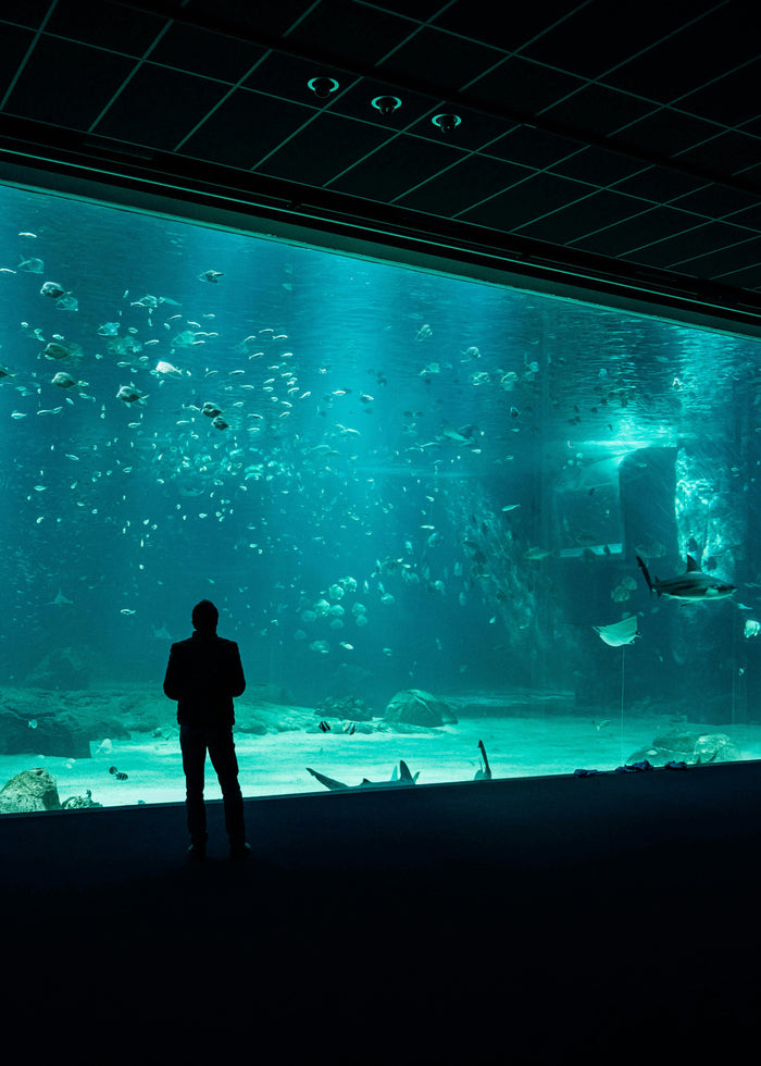 THE NUTRIENT CHALLENGE IN AQUARIUM SYSTEMS